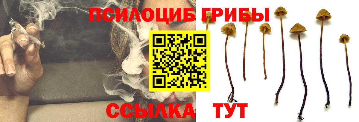 Псилоцибиновые грибы Magic Shrooms  Вход с VPN  Усолье-Сибирское 